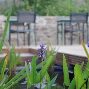 Bed & Breakfast Maison Alfred Et Agatha